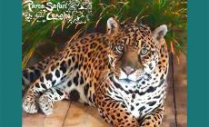 Compie 23 anni Regina, il giaguaro da record del Parco Safari di Murazzano 