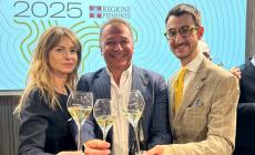 L’Alta Langa è il Vino dell’Anno 2025