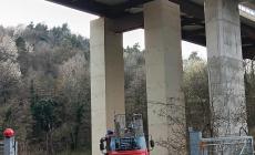 Gatto bloccato sopra un pilone del viadotto autostradale a Sale Langhe