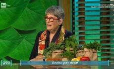 L’amica della Pro Loco Maria Cristina Pasquali ha parlato della Zucca Piozzo su Rai 3 a “Geo”