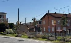 San Michele: messi a dimora i primi alberi del nuovo viale