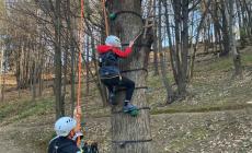 Inaugurato a Vicoforte il nuovo “tree climbing” al Bosco delle Scoperte