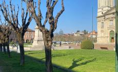 Vicoforte: la provocazione della minoranza sugli alberi davanti alla Palazzata