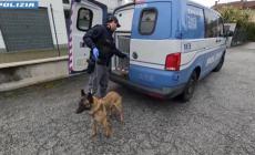 Quarantenne di Boves arrestato: confezionava crack nel garage di casa. Colpo al narcotraffico cuneese: droga per 300.000 euro