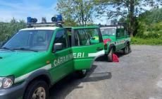 Ricerche in Tanaro ad Alba: falso allarme, l’oggetto in acqua era una borsa