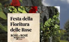 Bossolasco pronta a sbocciare con la Festa della Fioritura delle Rose