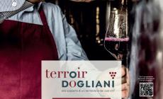 Riecco “Terroir Dogliani”: a Mondovì si riflette su come raccontare il “nostro” Dogliani 