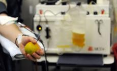 Torna la "24 Ore del Plasma": l’evento anche all’ospedale  “Regina Montis Regalis” di Mondovì