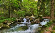 Chiusa Pesio: sabato riapre il tratto di pesca nella riserva dell’Alta Valle
