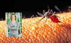 Virus West Nile: “Nessun allarme, ma occorre proteggersi. Il clima non è più lo stesso”