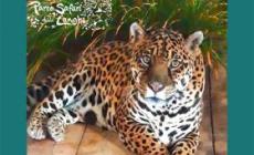 Sospiro di sollievo al Parco Safari di Murazzano: Regina torna a camminare