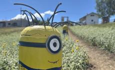 Anche i Minions pronti a festeggiare Ciüsa Duvarta 