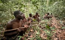 Repubblica Centrafricana: "A caccia con i pigmei nella foresta"