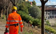 Mondovì ospita le "divise arancioni": Raduno Regionale Volontari A.I.B. Piemonte 
