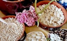 Street-food, mercatino,  mostre e altro ancora all’antica Fiera del Fagiolo di Crava