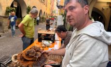 Ceva celebra la sua eccellenza: al via la Mostra Nazionale  del Fungo 