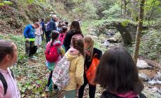 Alunni della  Primaria di Garessio al ponte romano di Piangranone