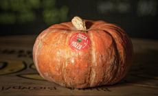 La Zucca Piozzo diventa Presidio Slow Food 