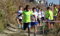FOTOGALLERY - Cross in Vigna Dogliani 2025