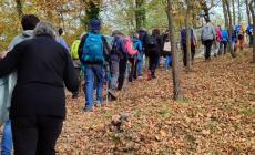 Grande partecipazione a Mombasiglio per “Landandè Insieme”