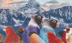 Un grande evento a Farigliano: la Prima Mostra Ornitologica Internazionale delle Alpi Occidentali