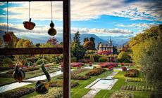 Piozzo, le zucche protagoniste a Villa Taranto tra natura e innovazione