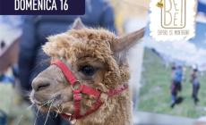 Domenica (16 novembre) l'inaugurazione di Bee in piazza Filippi 