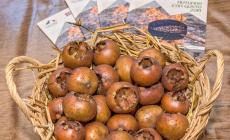 Farigliano, la Fiera dei Puciu vola più in alto: arrivano i rapaci