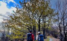 Un nuovo portale per i sentieri di Chiusa Pesio: ecco “A zonzo in valle Pesio”