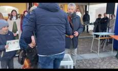 Morozzo: di Maria Rosa Tarditi i capponi pi&ugrave; belli del 2025