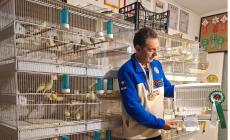 Di Mondov&igrave; i canarini pi&ugrave; belli d'Italia