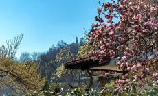 Peveragno apre le porte al cinema e alla TV
