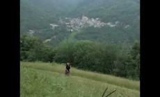 Baracco (Roccaforte Mondovì): attenzione le prime "maske" sono già in giro...