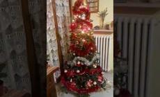 Inviateci la vostra immagine di Natale. Il video di Barbara, di Monastero di Vasco, con il suo albero 