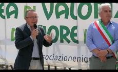 VIDEO - A Niella Tanaro inaugurata l'area di valorizzazione della Nigella, Mauro Benedetto: "Ecco cosa possiamo fare per questi fiori"