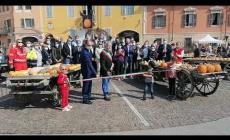 VIDEO - Piozzo, inaugurata "Zucca in Piazza" 