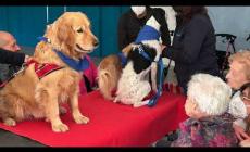 Mondovì: al "Sacra Famiglia" la pet therapy per gli ospiti della Casa di Riposo