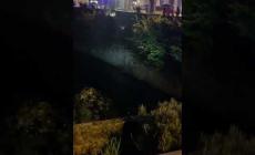 VIDEO - Mondovì: i vigili del fuoco recuperano, di notte, un uomo nel torrente Ellero