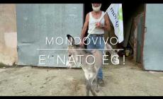 "Mondovivo", segnale di futuro: nella sede dell'associazione contraria al Polo Logistico è nato EG