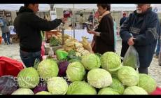 Mondov&igrave;, "CAVOLI TUOI 2022": video, foto e consegna del "Cavolo d'Oro" a Ezio Raviola (Fondazione Crc)