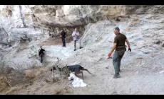 Garessio: in salvo un daino rimasto intrappolato in una corda per arrampicare
