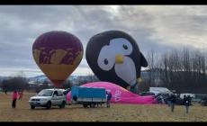 In due minuti la bellezza delle mongolfiere a Mondov&igrave;: gonfiaggi e partenze