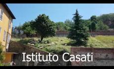 Mondovì, giardino dell'istituto "Casati": pulizia del giardino affidata a pecore ed agnellini (VIDEO REALIZZATO DA ANDREA FULCHERI)
