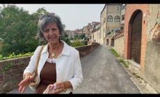 Mondovì, assessore Carboni: «Via Marchesi d'Ormea riapre alle auto »