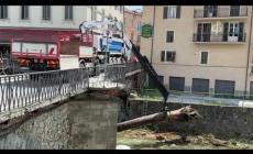 Mondovì, dopo le piogge, ponte del Borgato. La rimozione di un grande tronco dal greto dell'Ellero
