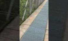 Ferrovia Torino - Savona allagata dopo il nubifragio. Tratto chiuso tra Mondovì e Fossano