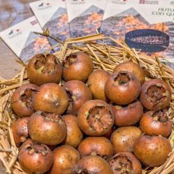 Farigliano, la Fiera dei Puciu vola pi&ugrave; in alto: arrivano i rapaci