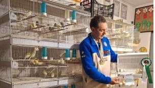 Serran&ograve; Canarini