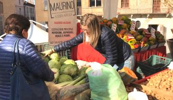 “Sono Cavoli Tuoi”: Mondovì celebra l’estate di San Martino