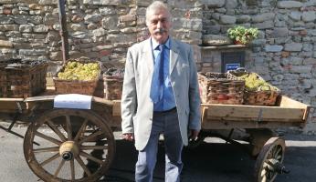 FOTOGALLERY - Mostra dell'Uva e del Vino Bastia Mondovì 2025